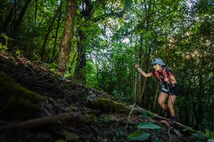 BIB: 
                            <button type="button" onclick="openModal(16015733)" class="btn btn-primary btn-sm float-right btn-popup" data-toggle="modal" data-target=".modal-high-quality">
                        <i class="fas fa-shopping-cart"></i> Add to Cart
                    </button>
                                            <button type="button" onclick="isThisMe(16015733, true)" class="btn btn-success btn-sm float-right btn-popup btn-isme hidden" data-toggle="tooltip" data-placement="bottom" title="นี่คือรูปของคุณใช่ไหม คลิกที่นี่เพื่อเอาเข้าอัลบั้ม">
                        <i class="fas fa-plus"></i> Add to album
                    </button>
                    <button type="button" onclick="isThisMe(16015733, false)" class="btn btn-warning btn-sm float-right btn-popup btn-isnotme hidden">
                        <i class="fas fa-ban"></i> Remove from album
                    </button>